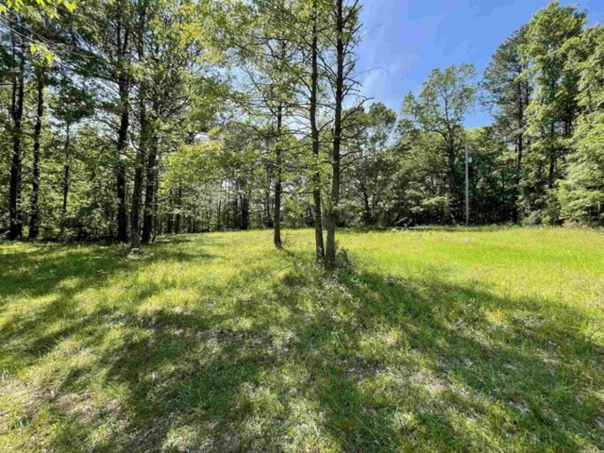 Picture of Residential Land For Sale in Bismarck, Arkansas, United States