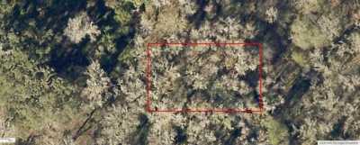 Residential Land For Sale in Belleview, Florida