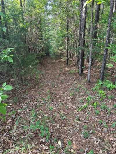 Residential Land For Sale in Evergreen, Alabama