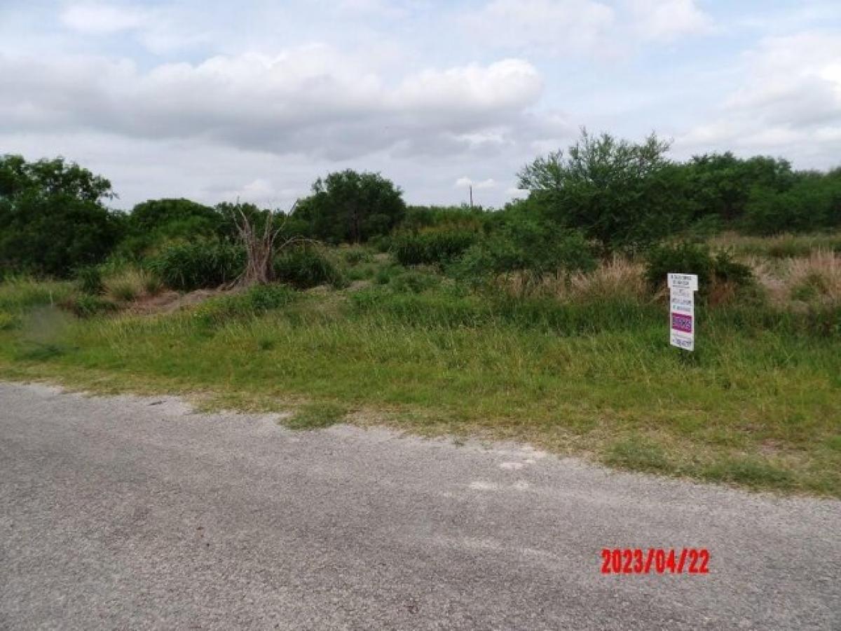 Picture of Residential Land For Sale in Beeville, Texas, United States