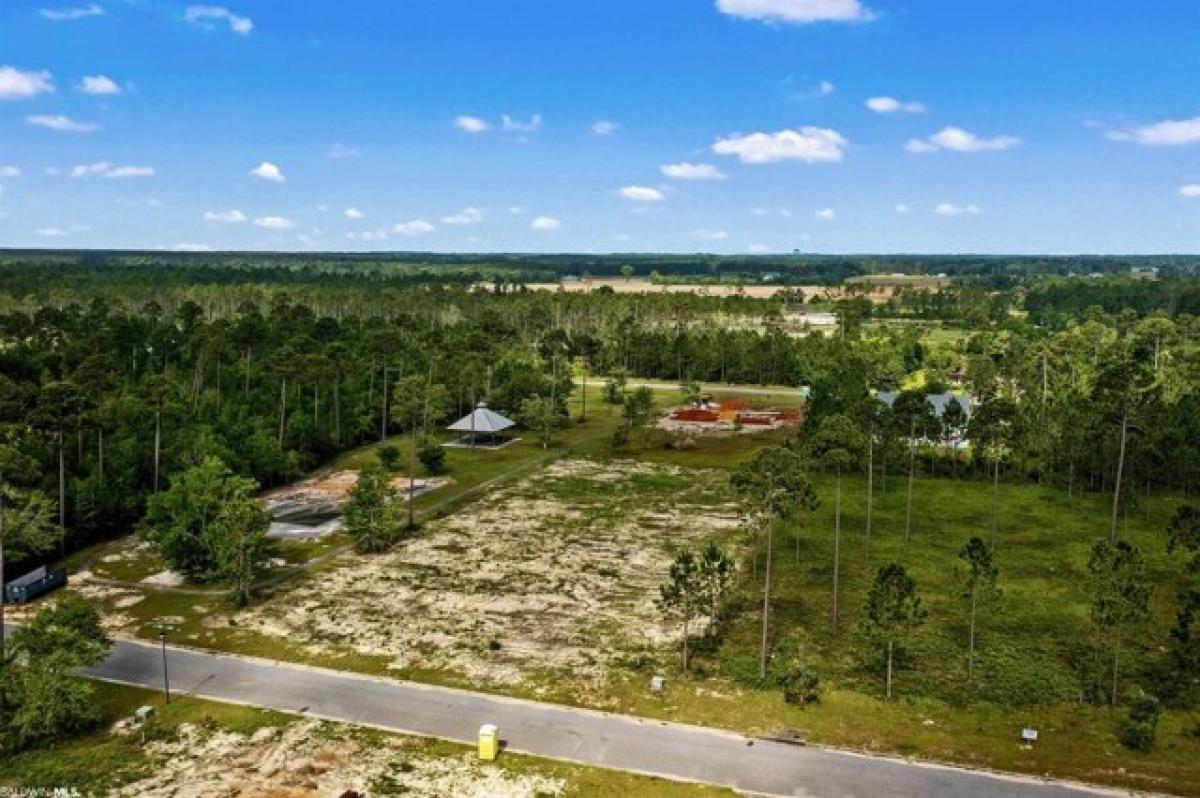 Picture of Residential Land For Sale in Elberta, Alabama, United States