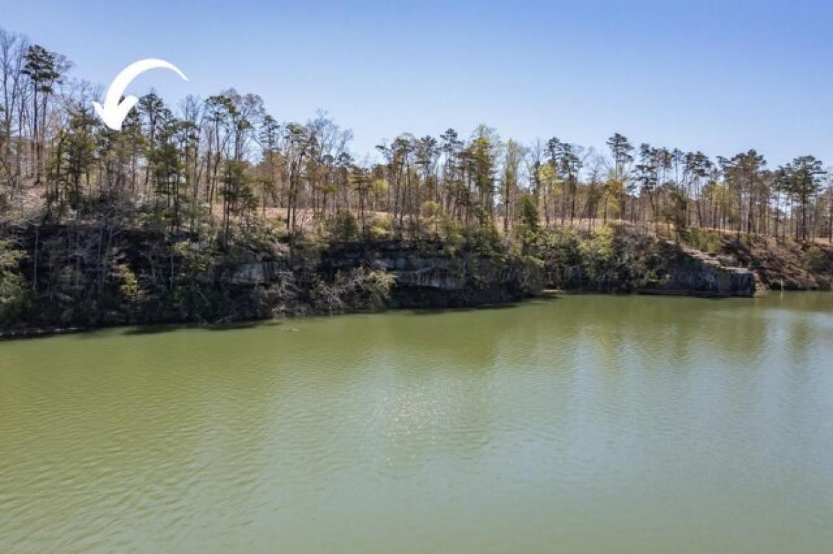 Picture of Residential Land For Sale in Houston, Alabama, United States