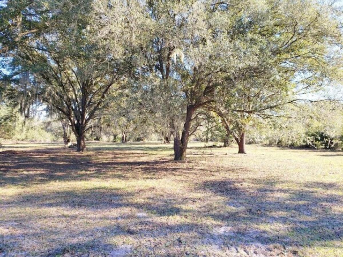 Picture of Residential Land For Sale in Fort Mccoy, Florida, United States