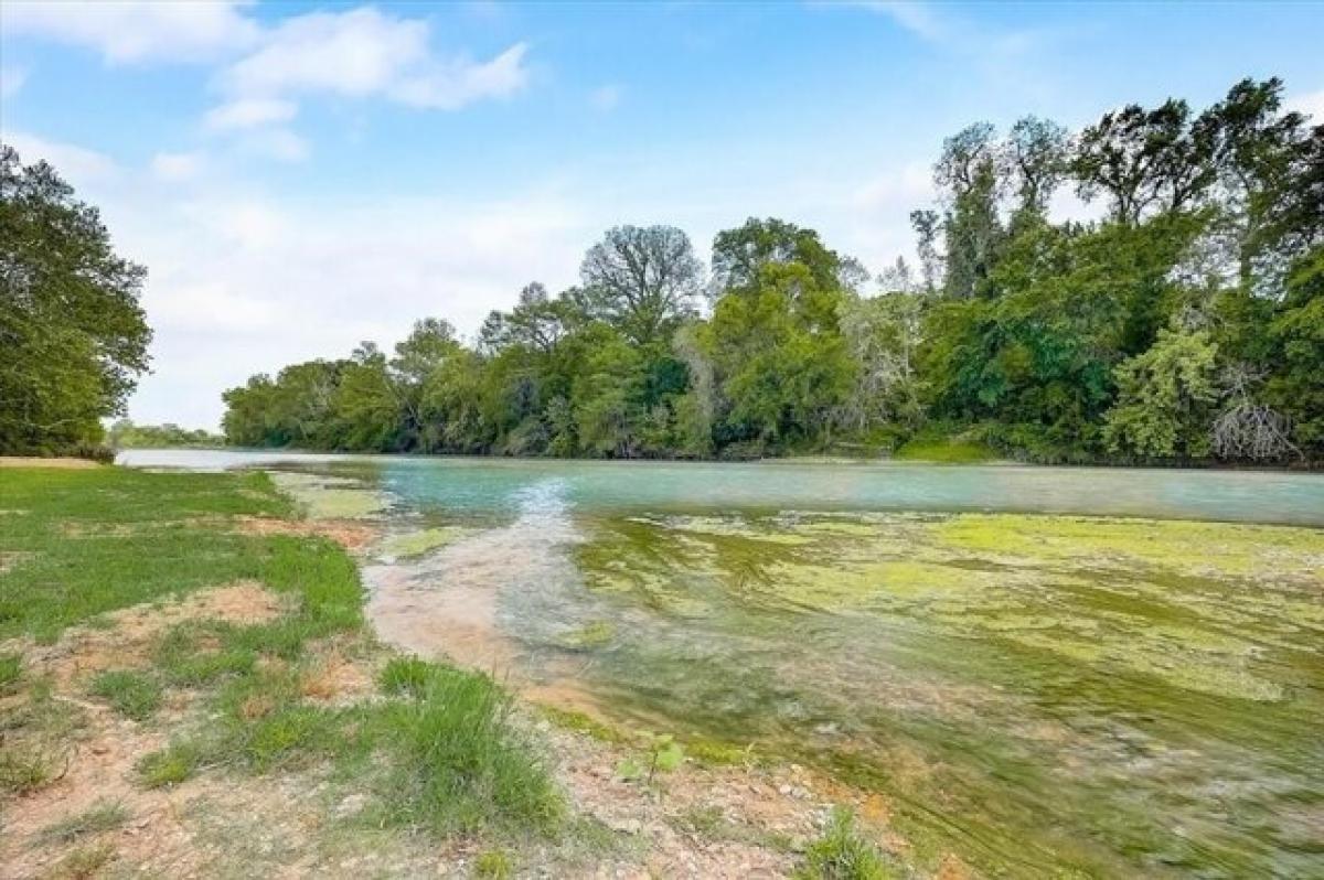 Picture of Residential Land For Sale in Bastrop, Texas, United States