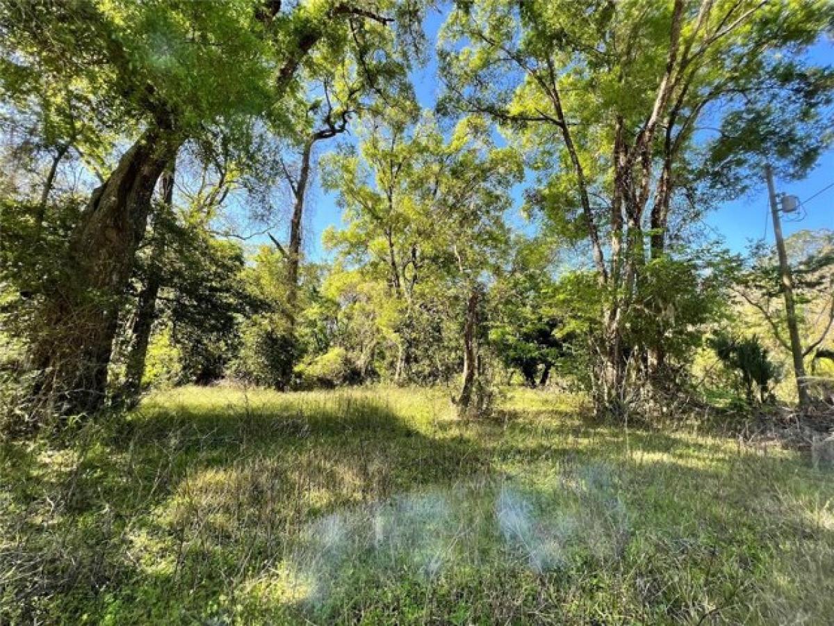 Picture of Residential Land For Sale in Fanning Springs, Florida, United States