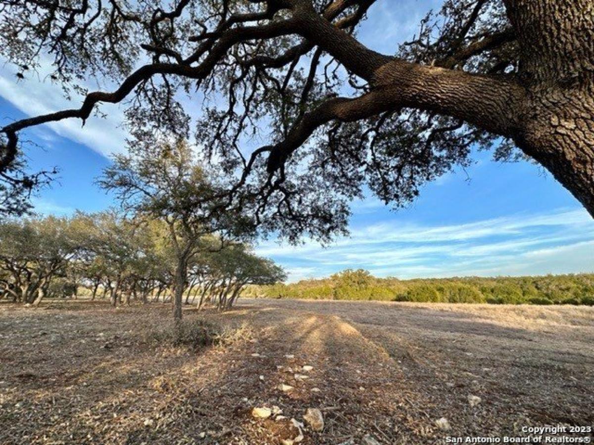 Picture of Residential Land For Sale in Bulverde, Texas, United States