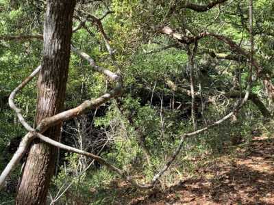 Residential Land For Sale in Sopchoppy, Florida