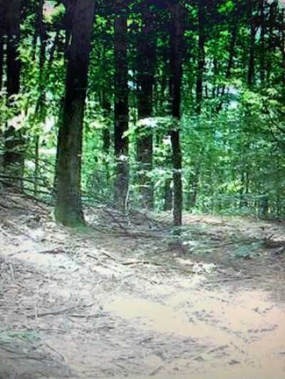 Residential Land For Sale in Dummerston, Vermont