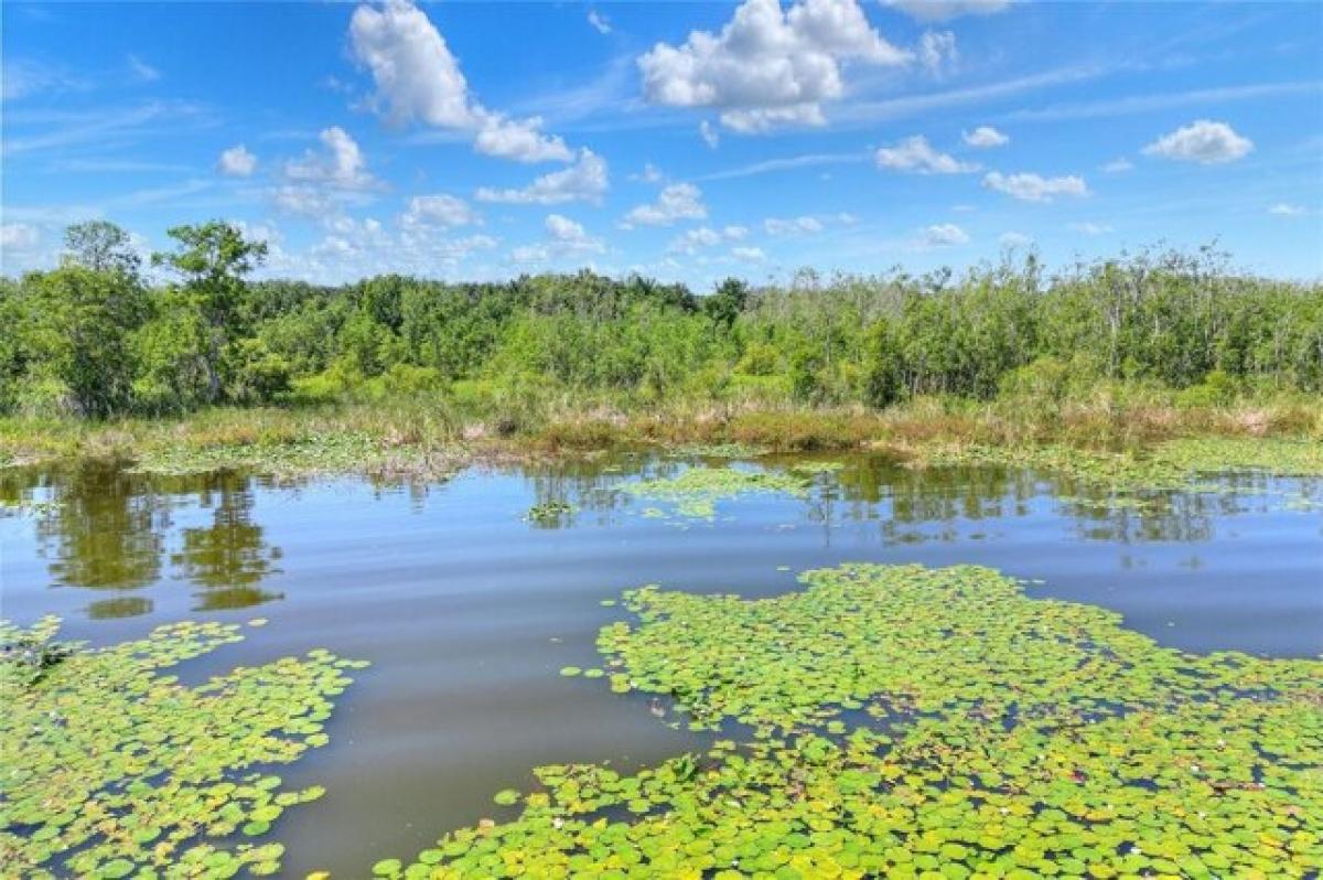 Picture of Residential Land For Sale in Winter Haven, Florida, United States