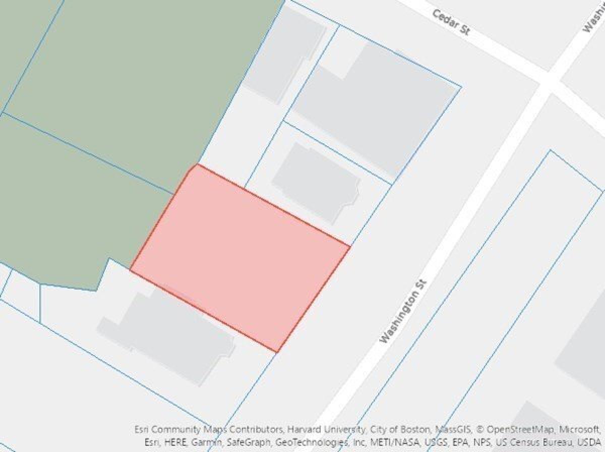 Picture of Residential Land For Sale in Roxbury, Massachusetts, United States