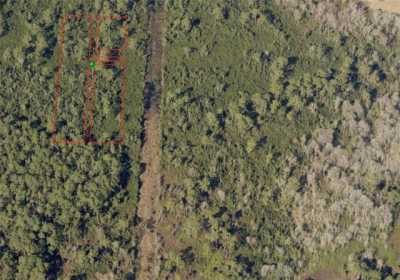 Residential Land For Sale in Seville, Florida