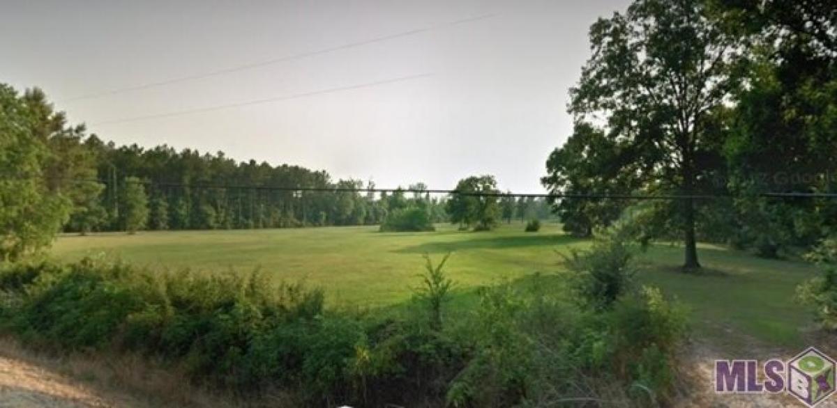 Picture of Residential Land For Sale in Prairieville, Louisiana, United States