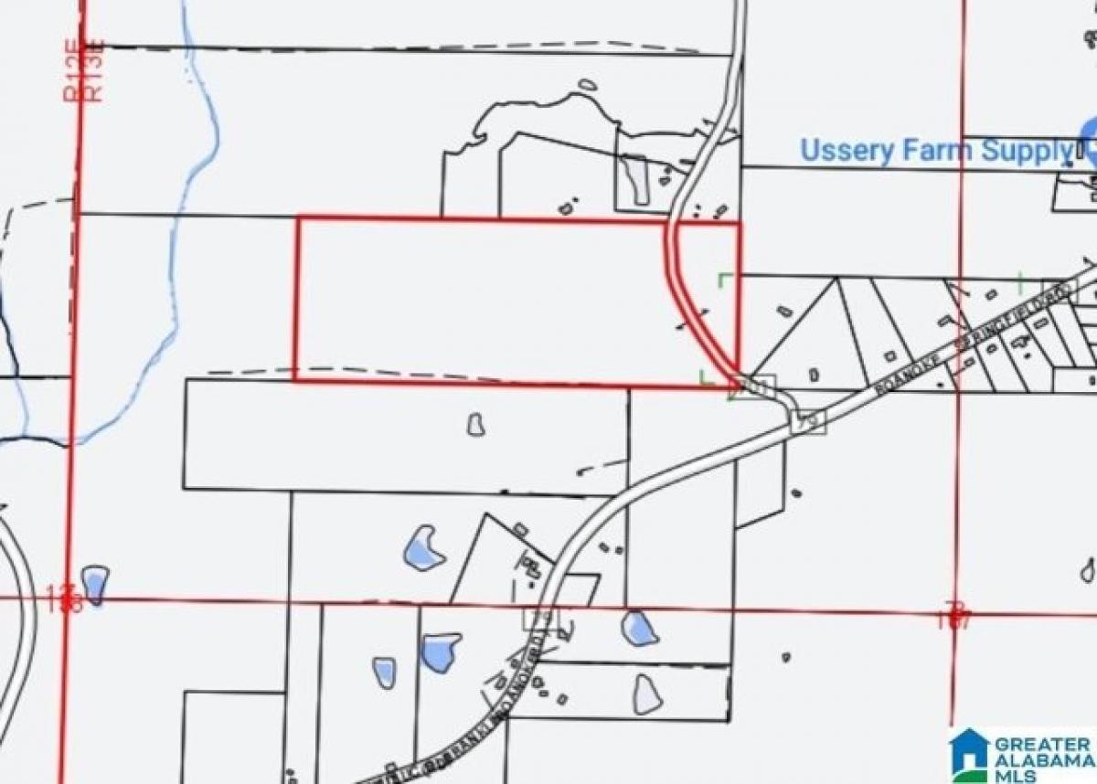 Picture of Residential Land For Sale in Roanoke, Alabama, United States