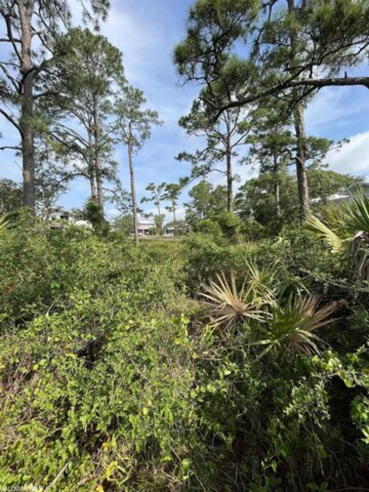 Picture of Residential Land For Sale in Gulf Shores, Alabama, United States