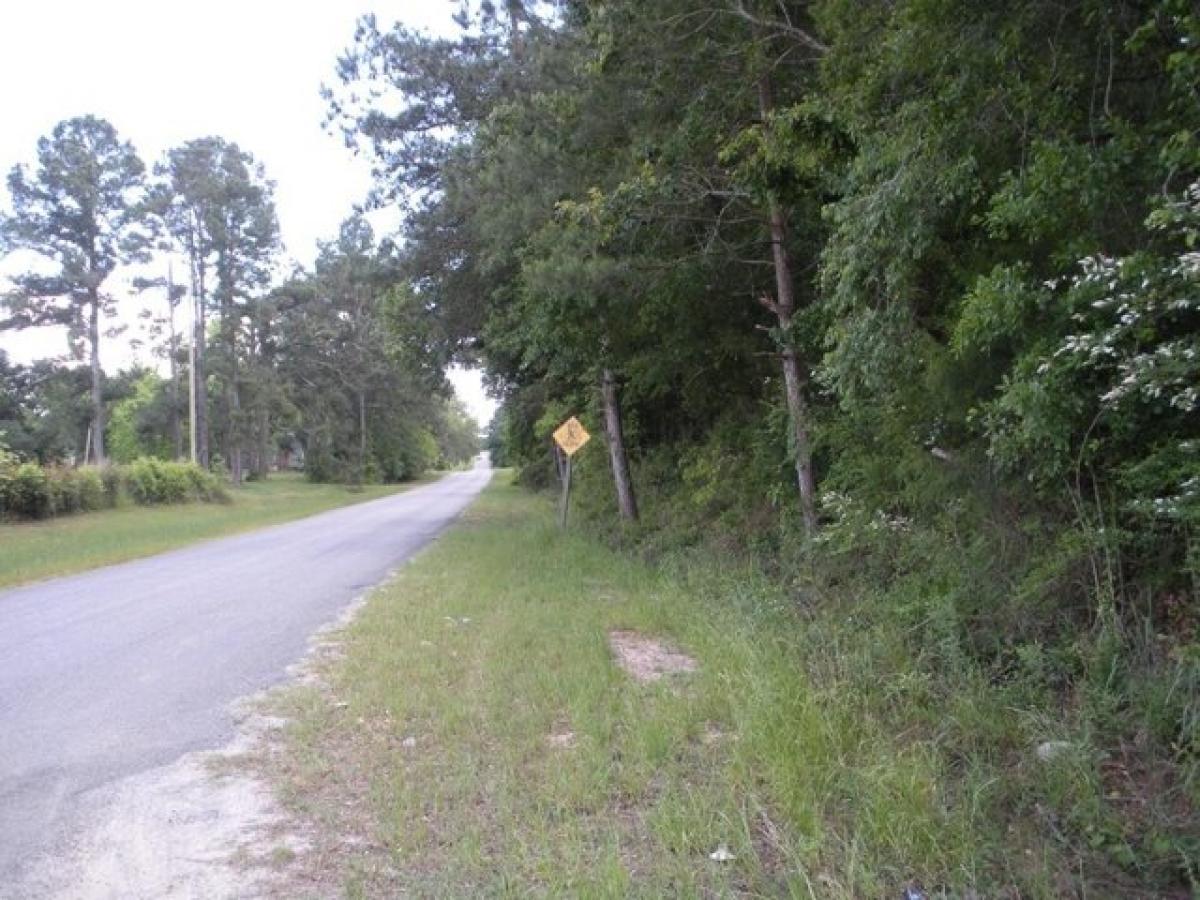 Picture of Residential Land For Sale in Pelham, Georgia, United States