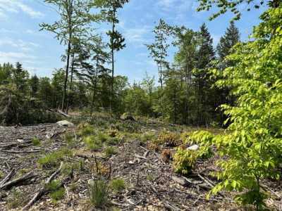 Residential Land For Sale in Northwood, New Hampshire