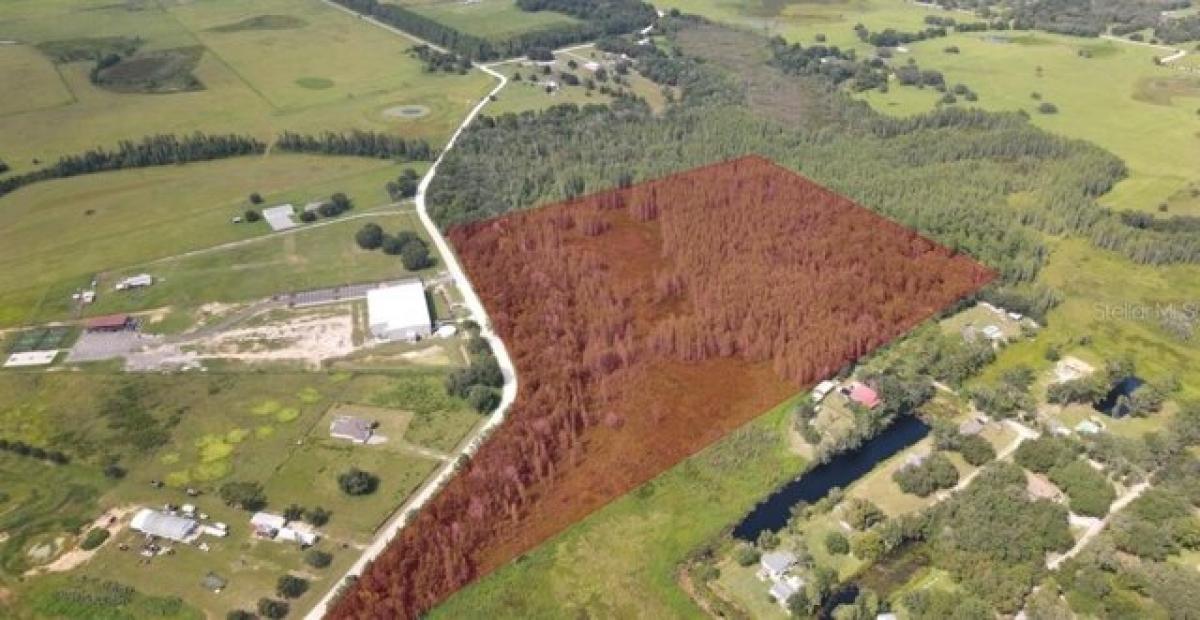 Picture of Residential Land For Sale in Wesley Chapel, Florida, United States