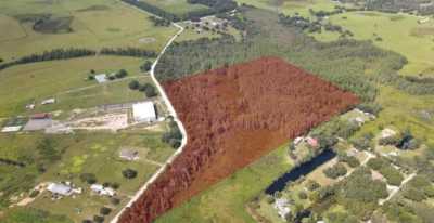 Residential Land For Sale in Wesley Chapel, Florida