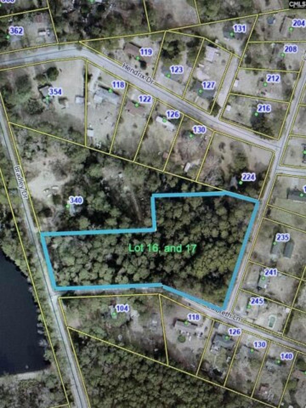 Picture of Residential Land For Sale in West Columbia, South Carolina, United States