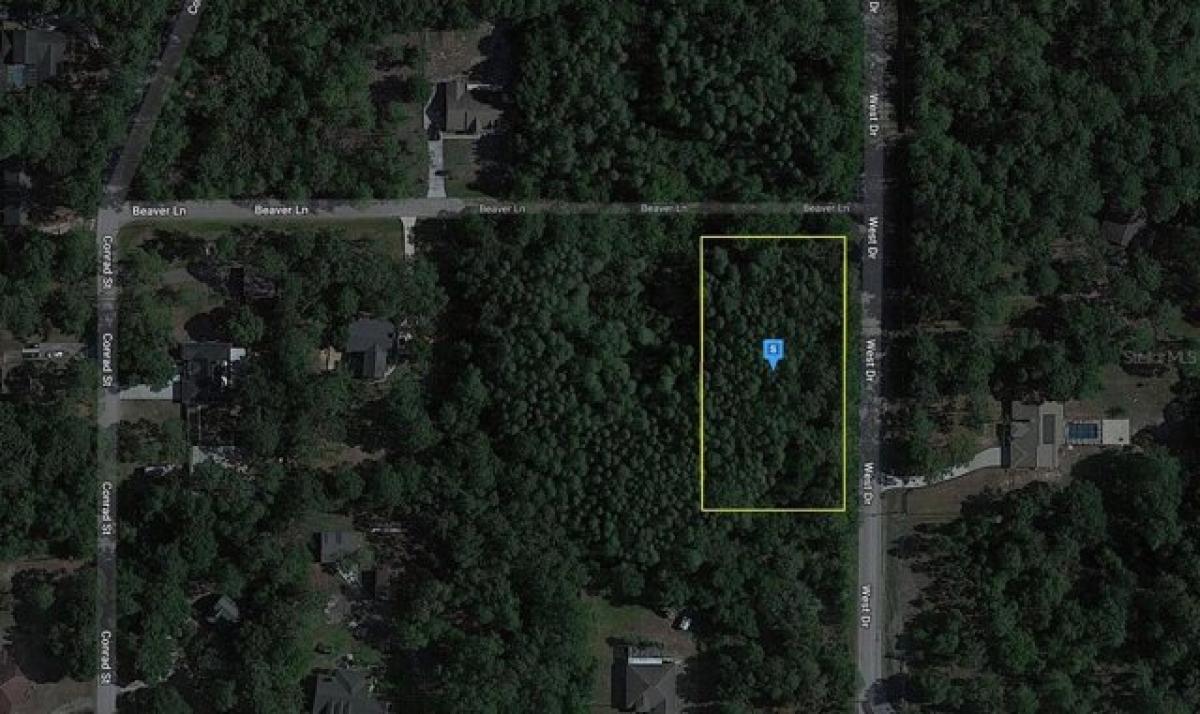 Picture of Residential Land For Sale in Wesley Chapel, Florida, United States