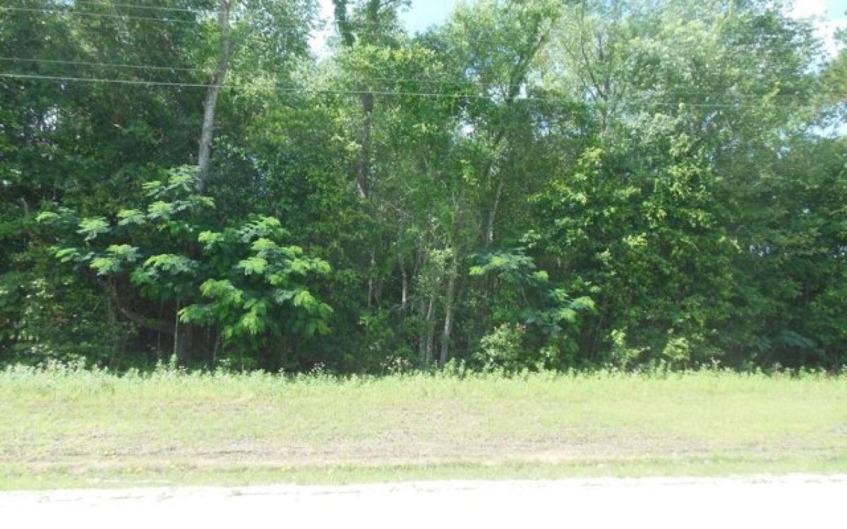 Picture of Residential Land For Sale in Jennings, Florida, United States