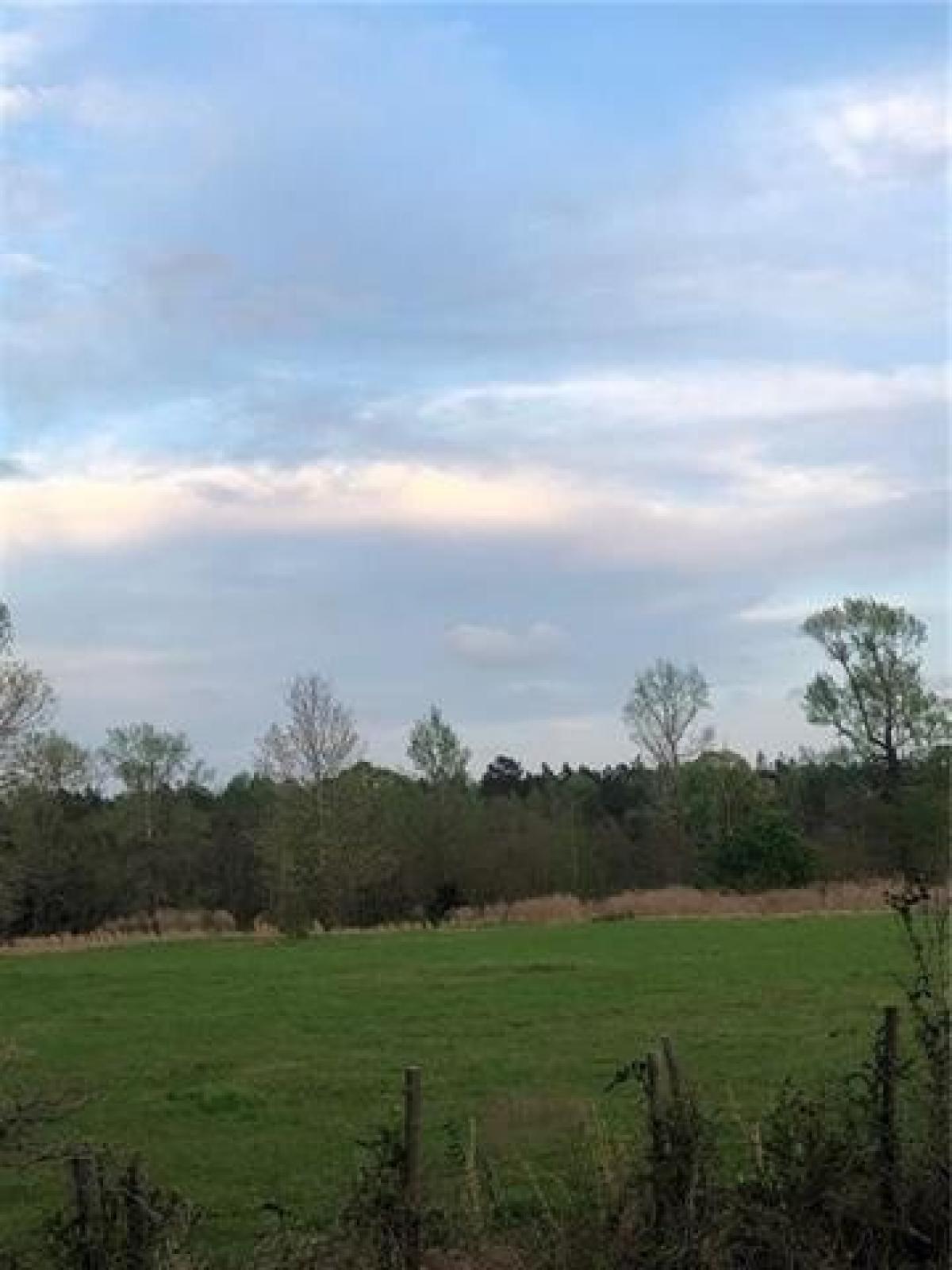 Picture of Residential Land For Sale in Pineville, Louisiana, United States