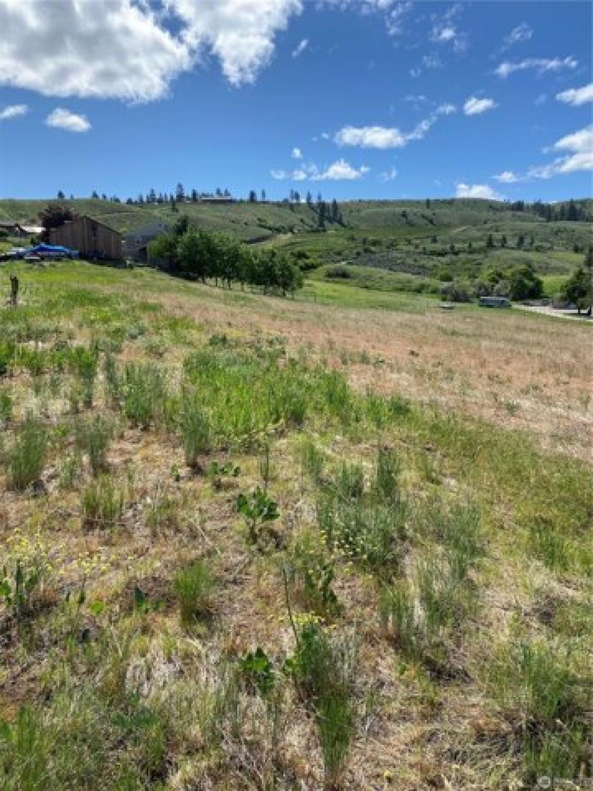 Picture of Residential Land For Sale in Wenatchee, Washington, United States