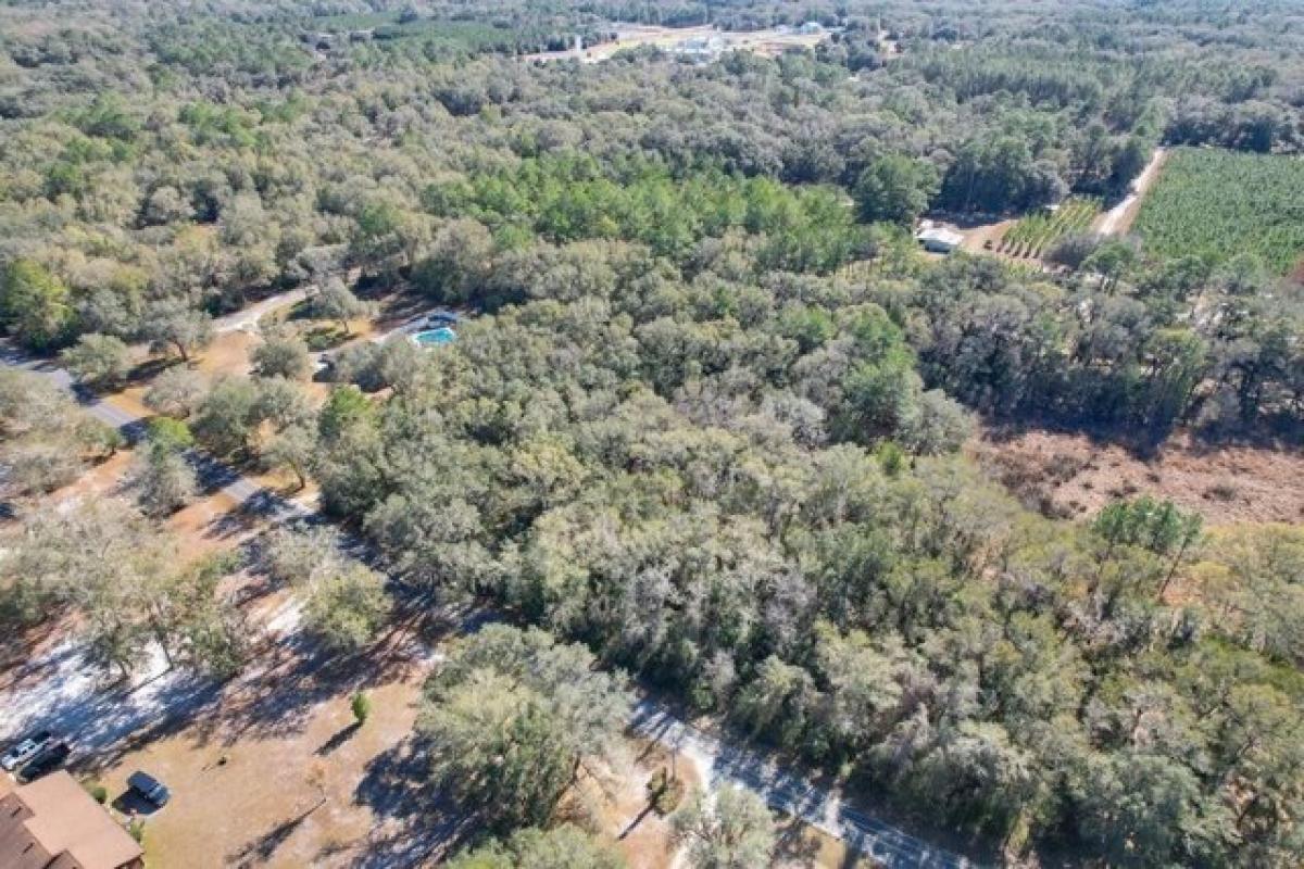 Picture of Residential Land For Sale in Perry, Florida, United States