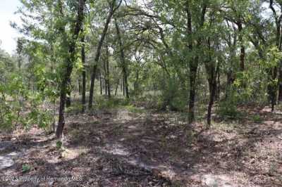 Residential Land For Sale in Lecanto, Florida