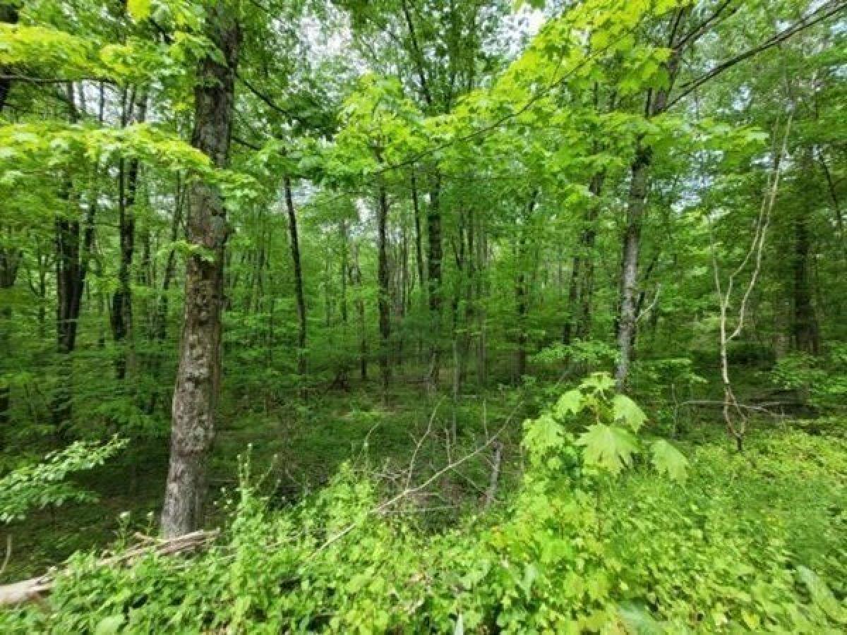 Picture of Residential Land For Sale in Auburn, Massachusetts, United States