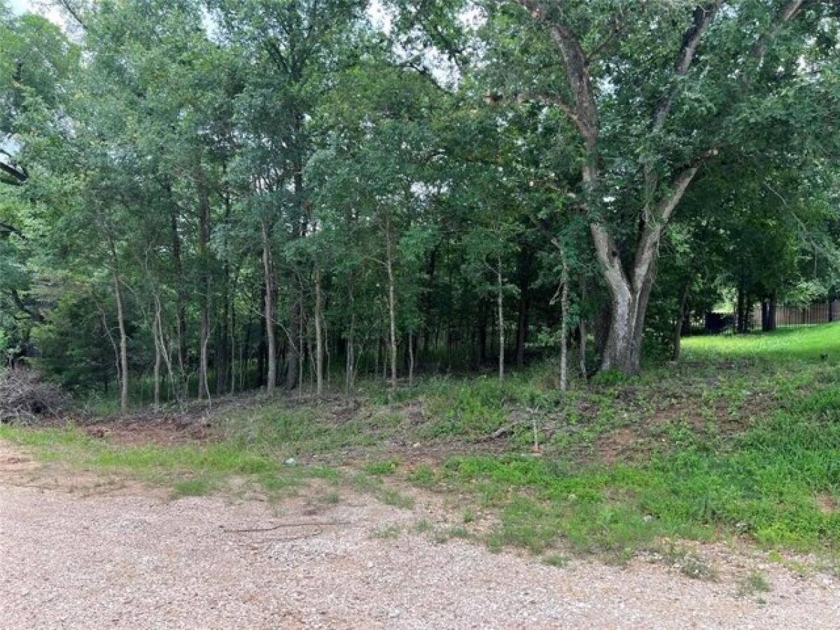 Picture of Residential Land For Sale in Bastrop, Texas, United States