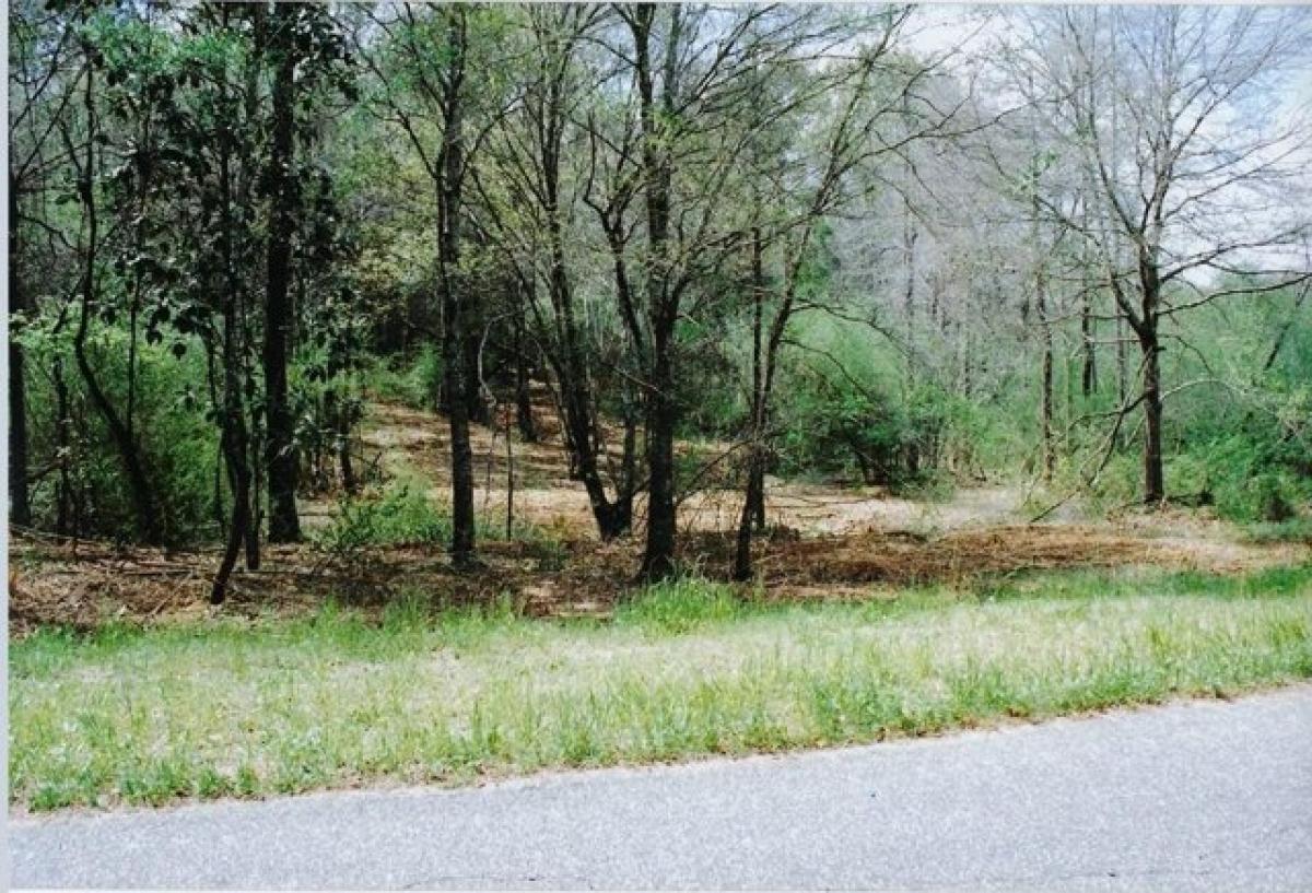 Picture of Residential Land For Sale in Headland, Alabama, United States