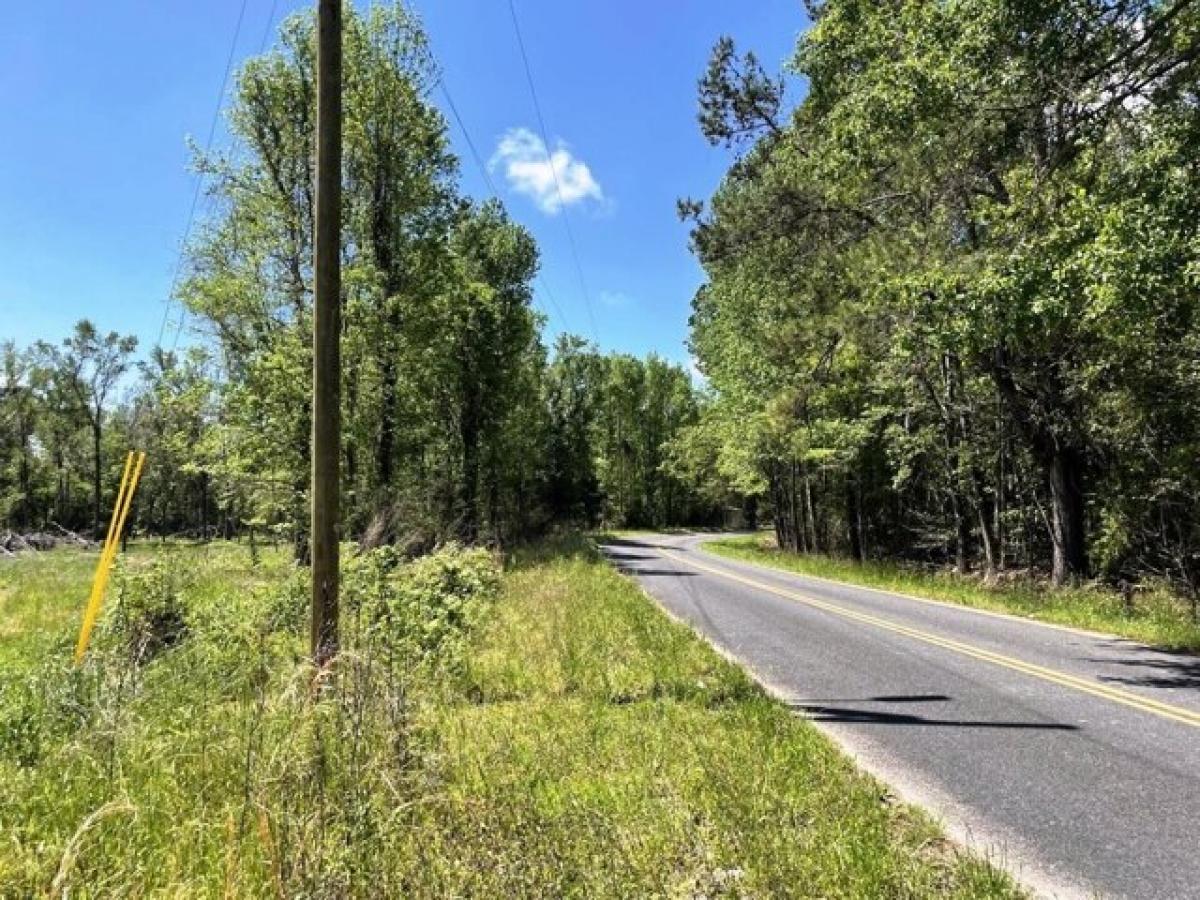 Picture of Residential Land For Sale in Hollywood, South Carolina, United States