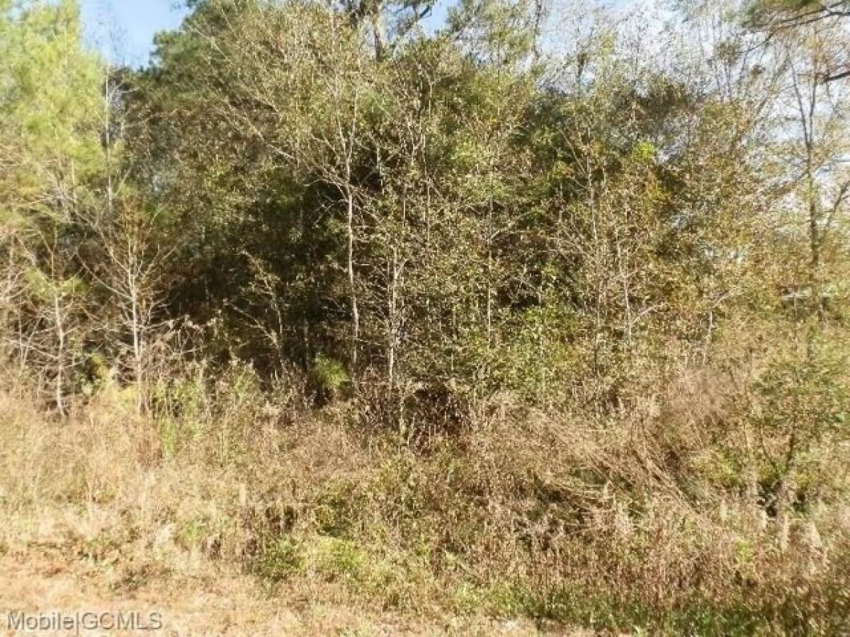 Picture of Residential Land For Sale in Theodore, Alabama, United States