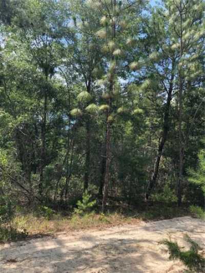 Residential Land For Sale in Satsuma, Florida