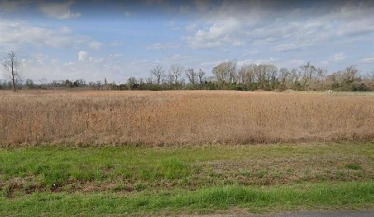 Picture of Residential Land For Sale in Alexandria, Louisiana, United States