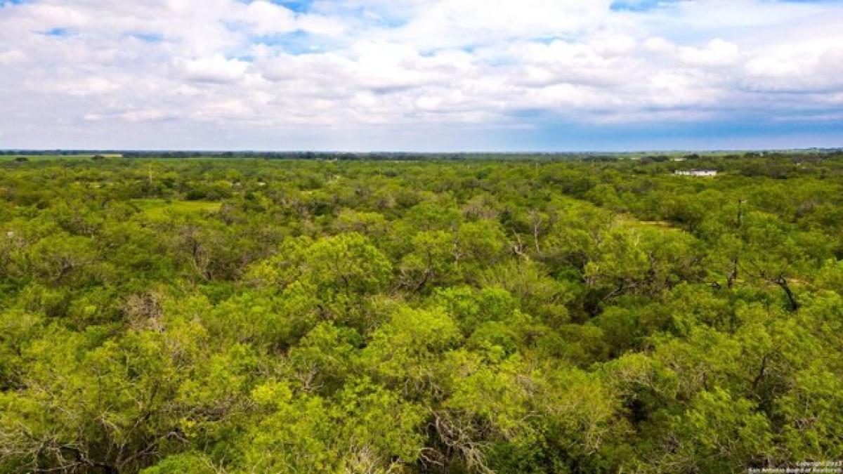 Picture of Residential Land For Sale in Bigfoot, Texas, United States