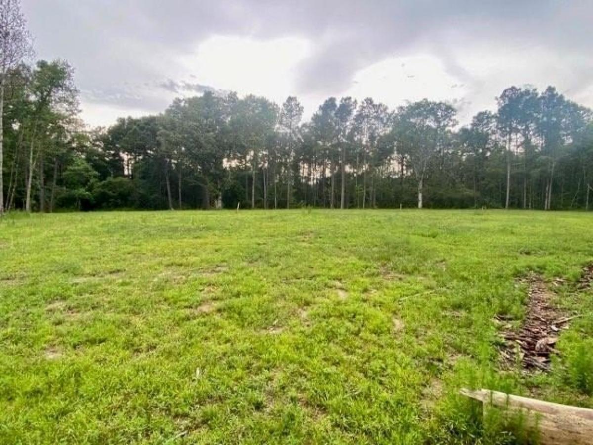 Picture of Residential Land For Sale in Kentwood, Louisiana, United States