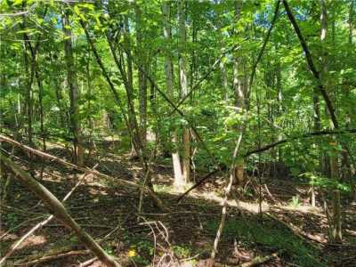 Residential Land For Sale in Nathalie, Virginia