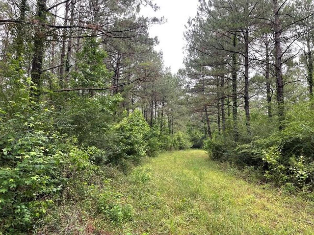 Picture of Residential Land For Sale in Monroeville, Alabama, United States