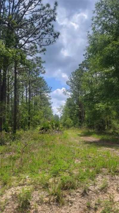 Residential Land For Sale in Fort Mccoy, Florida