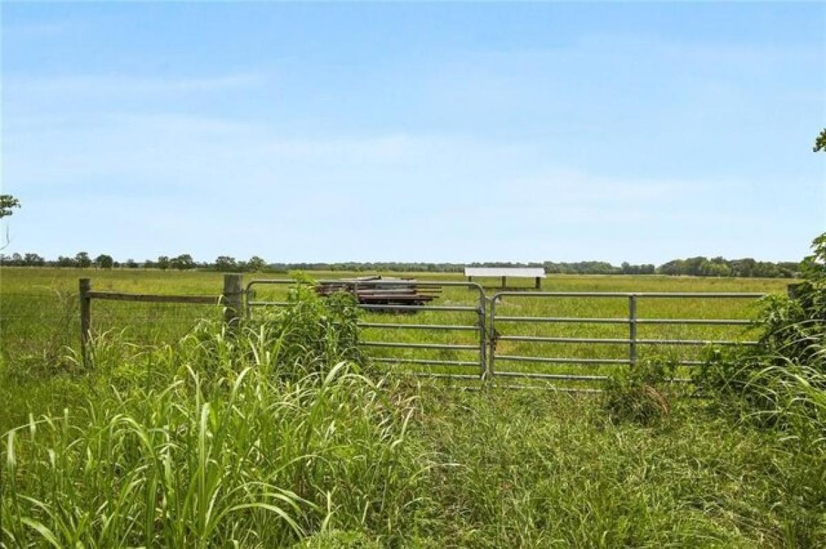 Picture of Residential Land For Sale in Des Allemands, Louisiana, United States