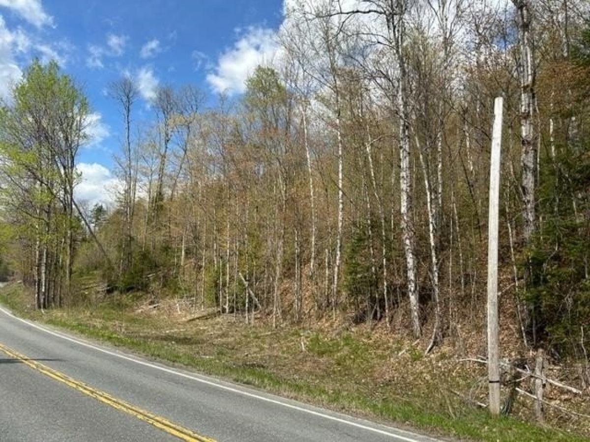 Picture of Residential Land For Sale in Washington, Vermont, United States