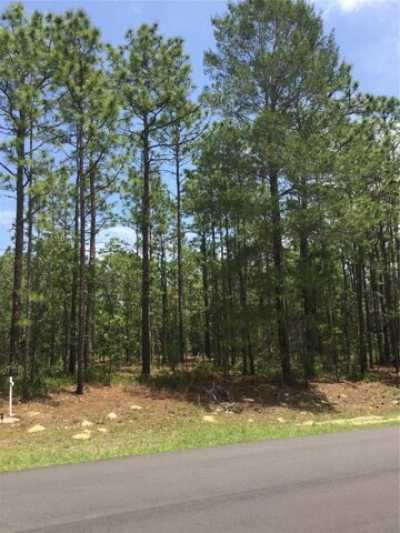 Residential Land For Sale in Wildwood, Florida