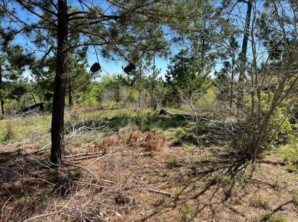 Picture of Residential Land For Sale in Bastrop, Texas, United States