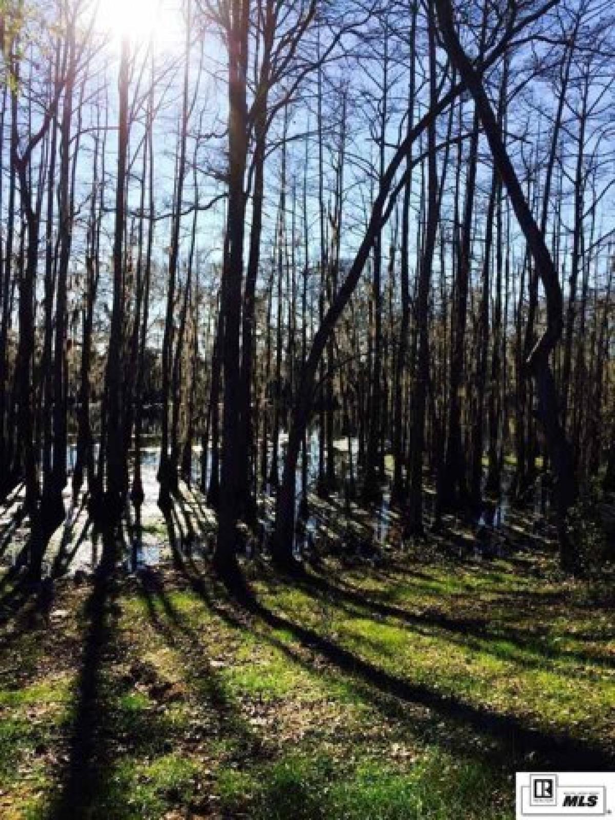 Picture of Residential Land For Sale in Monroe, Louisiana, United States