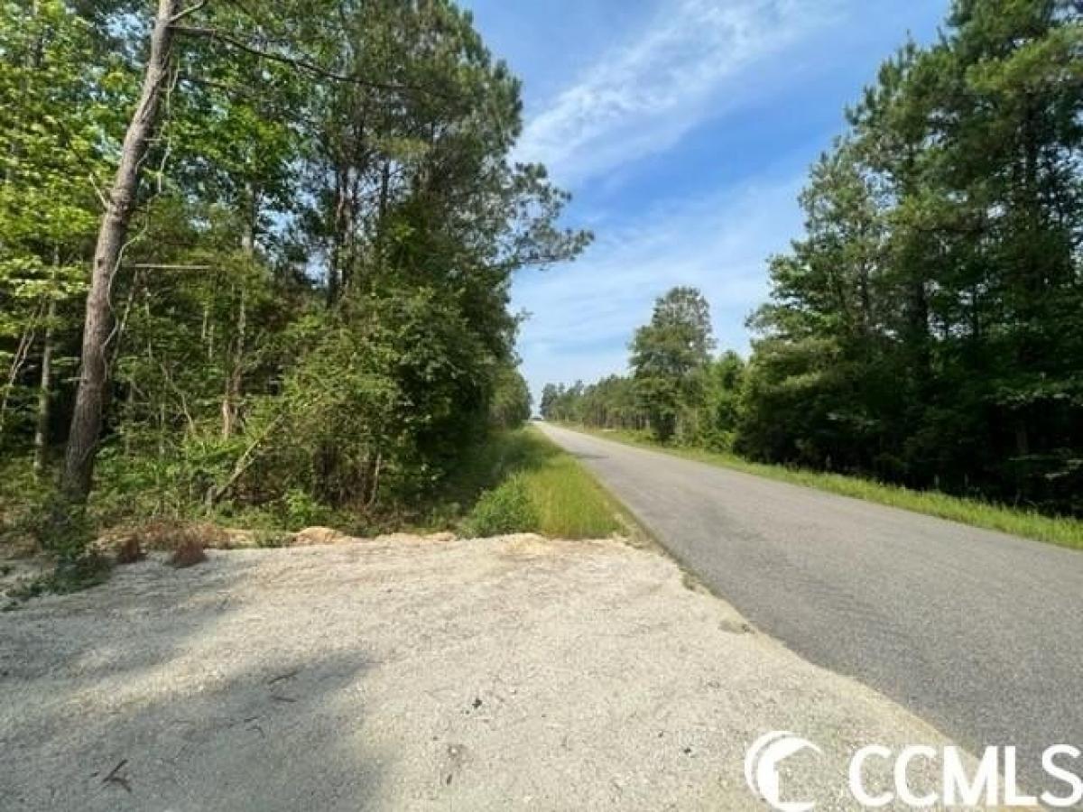 Picture of Residential Land For Sale in Galivants Ferry, South Carolina, United States