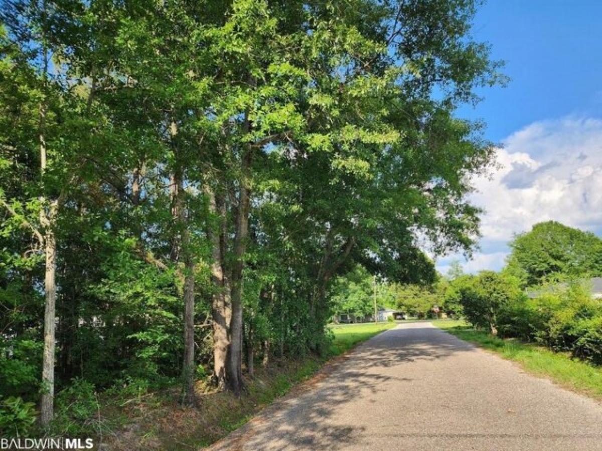 Picture of Residential Land For Sale in Atmore, Alabama, United States