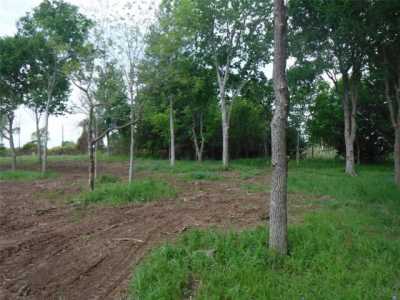 Residential Land For Sale in Bastrop, Texas