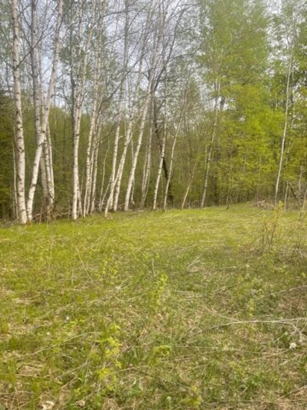 Picture of Residential Land For Sale in Crandon, Wisconsin, United States